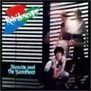 siouxsie and the banshees: Kaleidoscope