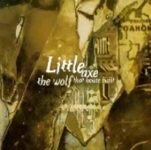 Cover di The Wolf That House Built