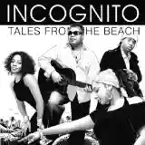 Incognito: Tales From the Beach