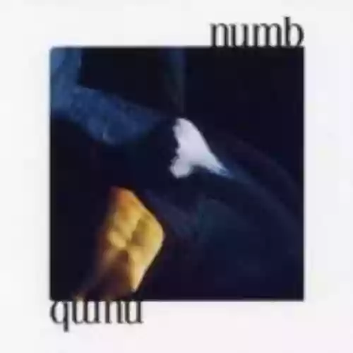 Cover Numb - Numb