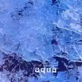 edgar froese: aqua