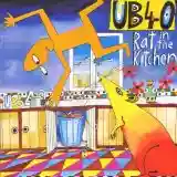 UB40: Rat in the Kitchen