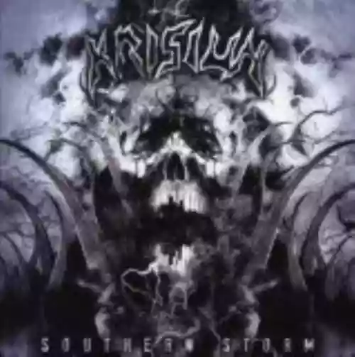 Cover di Southern Storm
