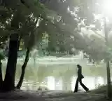 Cover di Comme si de rien n'était
