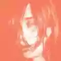 <b>Deerhunter</b> • Microcastle / Weird Era Cont.