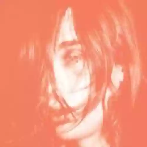 Cover Deerhunter - Microcastle / Weird Era Cont.