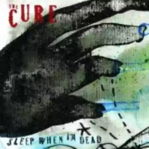 Cover di Sleep When I'm Dead