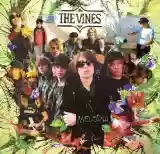 The Vines: Melodia