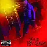 Cover di Scars on Broadway