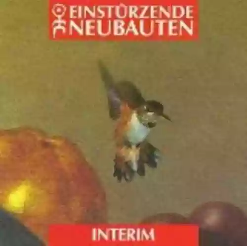 Cover di Interim