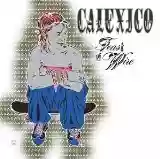 Calexico: Feast Of Wire