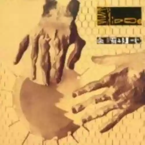 Cover 23 Skidoo - Seven Songs
