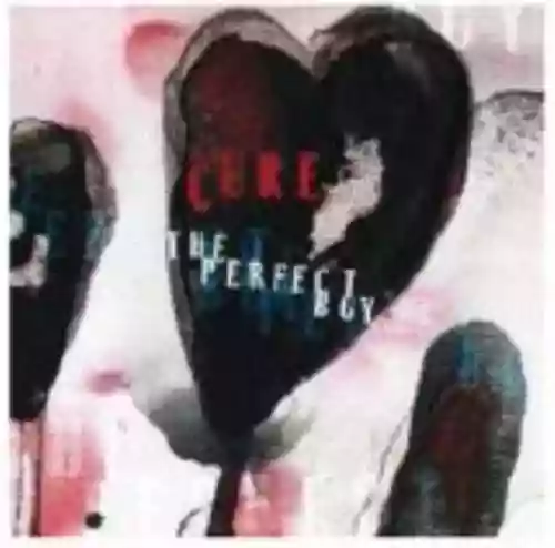 Cover di The Perfect Boy