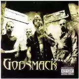 Godsmack: Awake