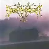 Borknagar: Borknagar