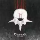 Cover di Vertebrae