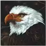 Mogwai: The Hawk Is Howling