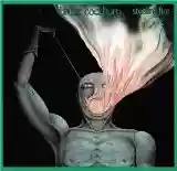 Bruce Cockburn: Stealing Fire
