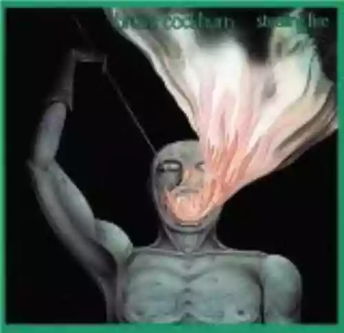 Cover Bruce Cockburn - Stealing Fire