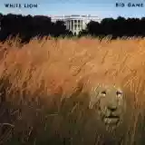 White lion: Big game