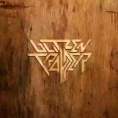 Cover Blitzen Trapper - Furr