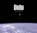 Dido: Safe Trip Home