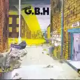 GBH: City Baby Attacked By Rats