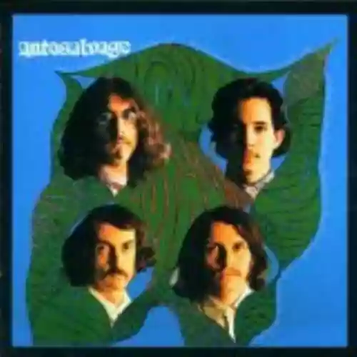 Cover di Autosalvage