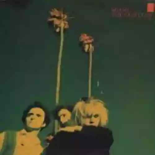 Cover The Gun Club - Miami