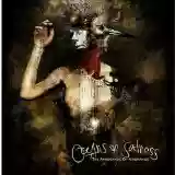 Cover di The Arrogance Of Ignorance