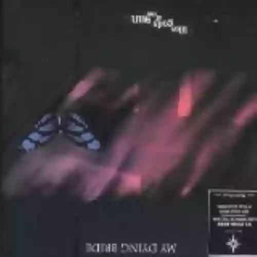 Cover di Like Gods of the Sun