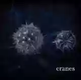 CRANES: CRANES