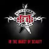 Michael Schenker Group: In the Midst of Beauty