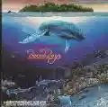 <b>The Beach Boys</b> • Summer in Paradise