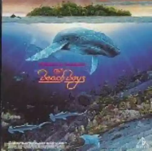 Cover The Beach Boys - Summer in Paradise