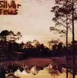 Silver Jews: Starlite Walker