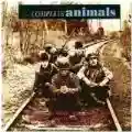 <b>The Animals</b> • The Complete Animals