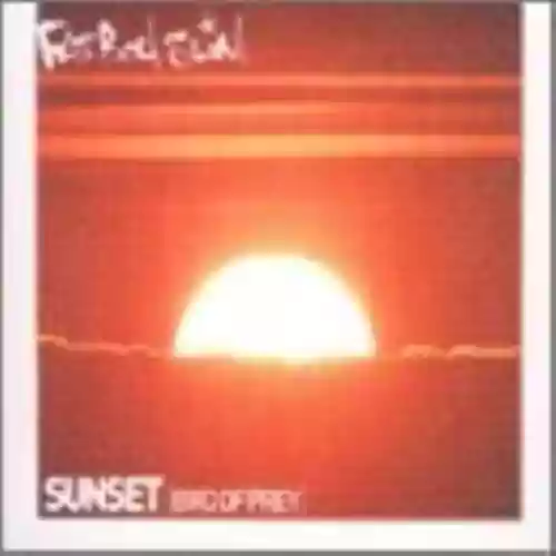 Cover Fatboy Slim - Sunset (Bird of Prey)