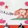<b>Hella</b> • Hold Your Horse Is