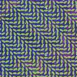 Animal Collective: Merriweather Post Pavilion
