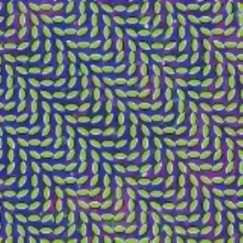 Cover di Merriweather Post Pavilion