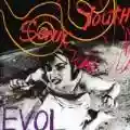 <b>Sonic Youth</b> • EVOL