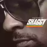 Cover di The Best of Shaggy