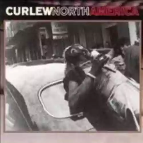 Cover Curlew - North America