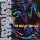 Inspiral Carpets: The Beast Inside