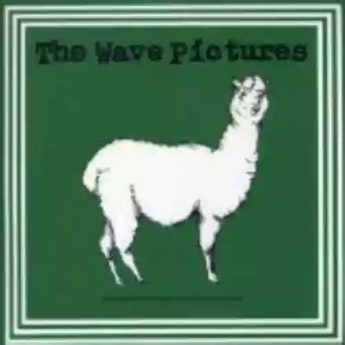 Cover The Wave Pictures - Strange Fruit for David