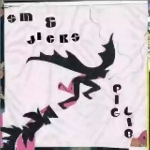 Cover Stephen Malkmus and the Jicks - Pig Lib