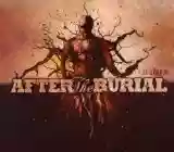 After the Burial: Rareform