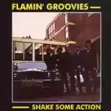 Flamin' Groovies: Shake Some Action