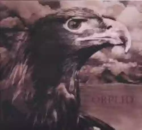 Cover di Greifenherz